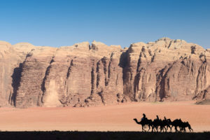 Kamelkarawane im Wadi Rum
